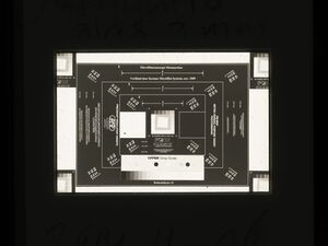 20160303-06967-scherpte 01.jpg