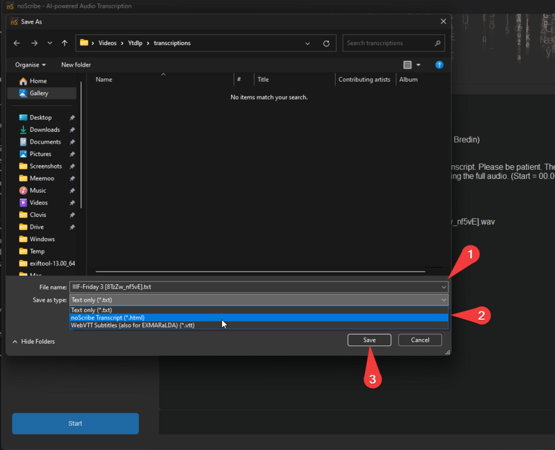 Screenshot van de opties voor het opslaan van het transcriptiebestand