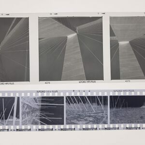 Zwart wit negatieven.jpg