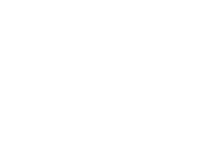 FARO logov neg white.png